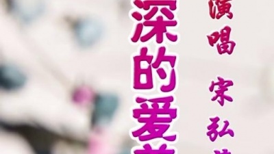 宋弘莉 - 我深深的爱着你