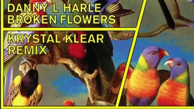 Danny L Harle - Broken Flowers (Krystal Klear Remix [Audio]) (Krystal Klear Remix [Audio])