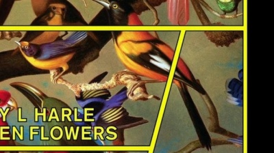 Danny L Harle - Broken Flowers (Kane West Remix [Official Audio]) (Kane West Remix [Official Audio])