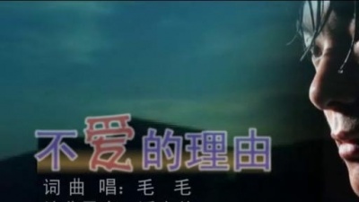 毛华锋 - 不爱的理由