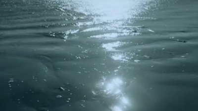 Zola Jesus - Dangerous Days
