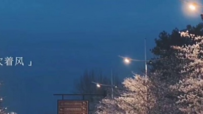邶笙 - 香烟到头终是灰  故事到头终是悲  无话不说是曾经  无话可说是结局