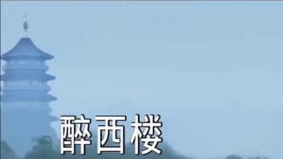 魏新雨 - 醉西楼