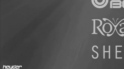 Dash Berlin、Roxanne Emery - Shelter