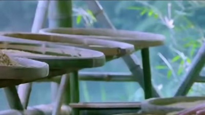 郑海燕 - 中国芬芳