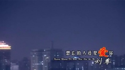 刘尊 - 想忘的人还是爱你
