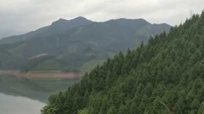 蒋桂芬 - 混剪古诗串烧