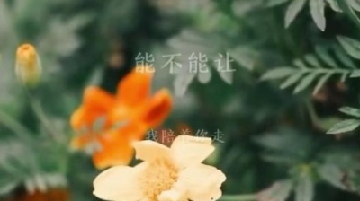 音乐人胡晓容 - 把悲伤留给自己