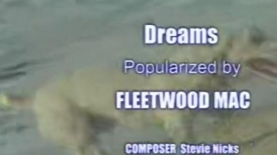 Fleetwood Mac - Dreams
