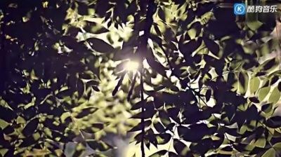 Washed Out - Soft