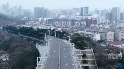 蚱蜢兄弟、徐巍 - 逆行天使