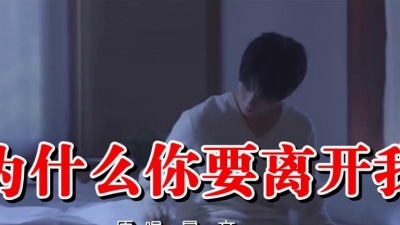 景一文 - 为什么你要离开我