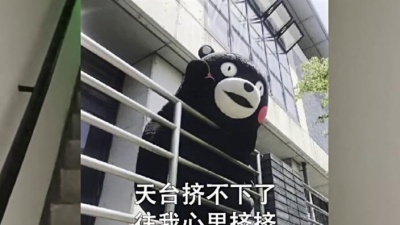 夏凌兮 - 闲花弄影