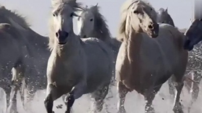 Enigma - Return To Innocence