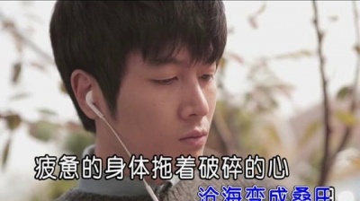 李浩民 - 你爱过我