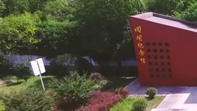 丁晓芒 - 梦回无为