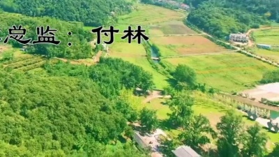 杨学超 - 千年银杏谷
