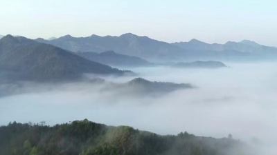 杨学超 - 洛阳小镇