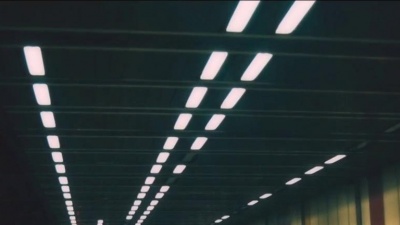 lovebirds、Stee Downes - Want You In My Soul