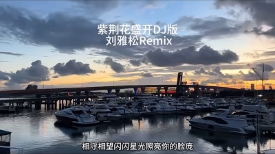 窦浩然 - 紫金花盛开