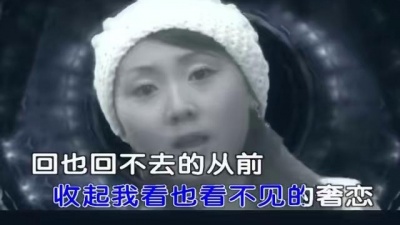 爱乐公社 - 流浪猫