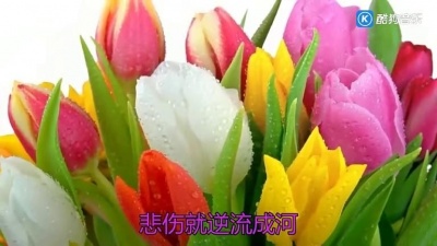 害羞的红茶 - 雷婷一首《逆流成河》刚开口就沦陷了，很享受的旋律！