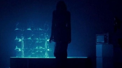 Cloves - Dead