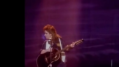 Melissa Etheridge - Similar Features
