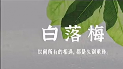 沧海一声笑 - 相遇即重逢-白落梅