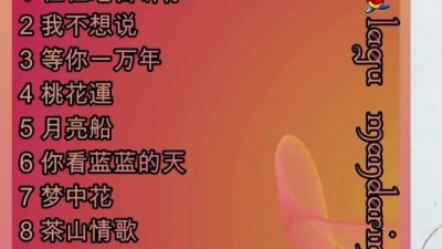 DJ国飞 - 经典杨钰莹情歌精选车载CD版