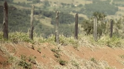Projota、Anavitória - Linda