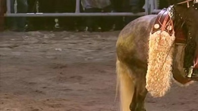 joan sebastian - Más Allá Del Sol