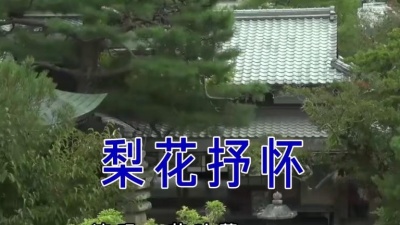 花叶蔓 - 梨花抒怀