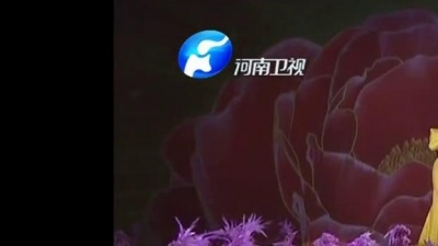 王丽达 - 花开中国 第31届中国洛阳牡丹文化节开幕 现场版