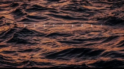 Ed Maverick - acurrucar