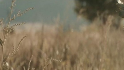 Andrew McMahon In the Wilderness - Cecilia And The Satellite
