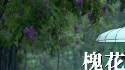 醉歌 - 槐花香槐花美 (KTV版)