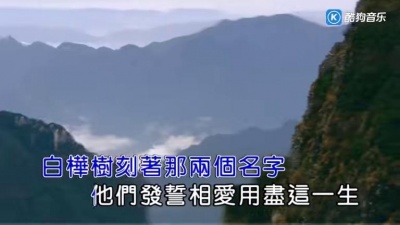 赵鹏 - 白桦林