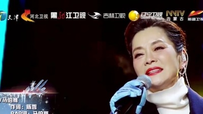 毛阿敏、马伯骞 - 同一首歌