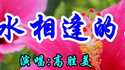 吃瓜音乐 - 经典情歌，高胜美一首《萍水相逢的人》好听极了