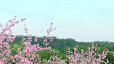 小水 - 遗忘时空