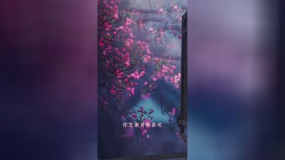 彩铃小助手 - 武家坡王宝钏壹