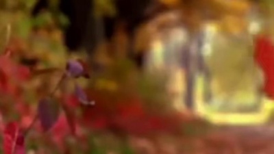 Eva Cassidy - Autumn Leaves
