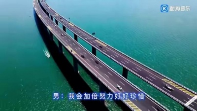 龙东海 - 你是我心中的唯一-龙东海/张青华