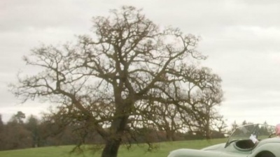 Niall Horan - Our Song