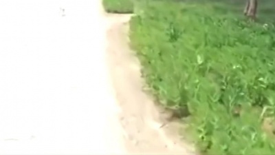 音乐伴你我 - 怀旧情歌《相见难时别亦难》唱出了对爱情的无奈与辛酸