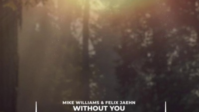 Mike Williams、Felix Jaehn、Jordan Shaw - Without You