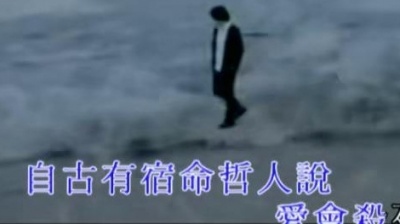 张继聪 - 白鸟