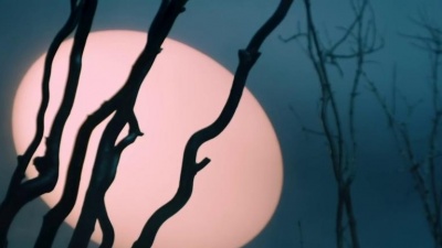 Tyla Yaweh、Boslen - DENY