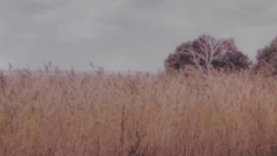 Federico Albanese - Silenzio